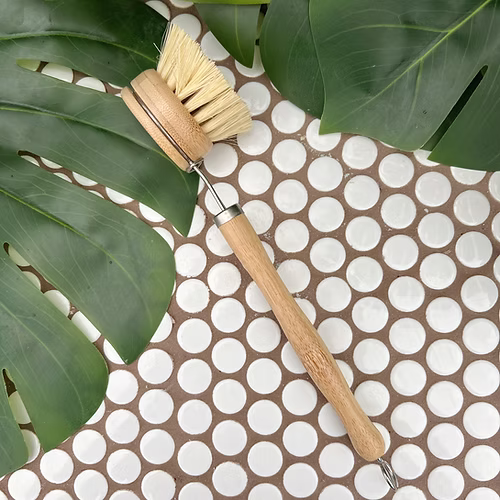 Eco-friendly Dish Brush