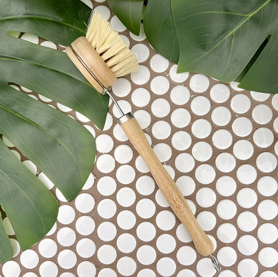 Eco-friendly Dish Brush
