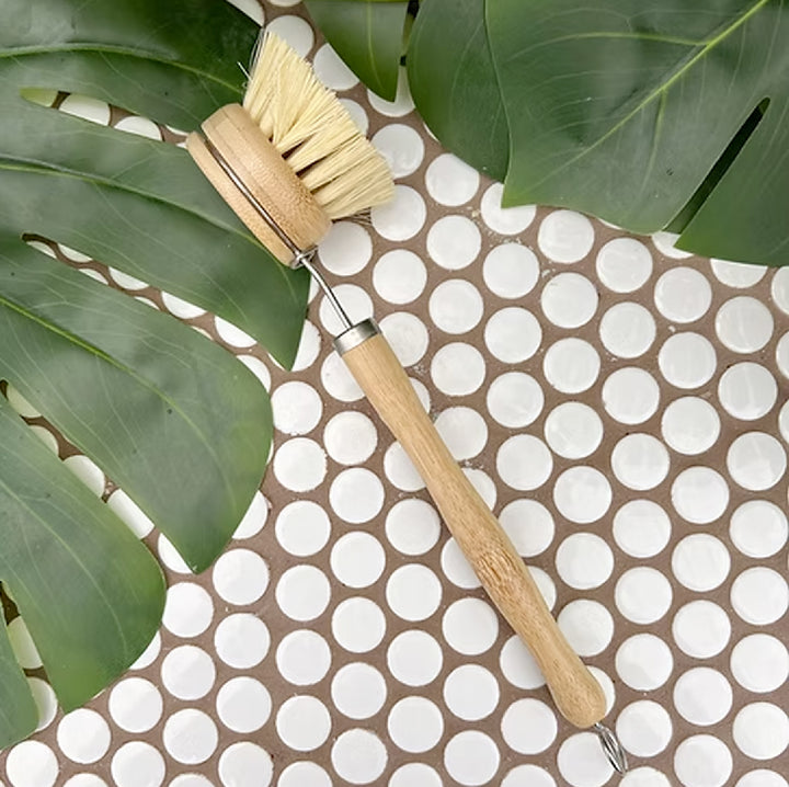Eco-friendly Dish Brush